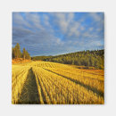 Recherche de producteurs magnets Ferme