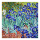 Recherche de vincent van gogh posters Iris