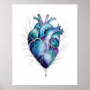 Search for human heart art Anatomical