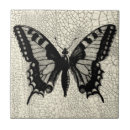 Recherche de papillon blanc carreaux Insecte