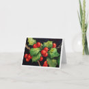 Recherche de holly berry christmas cards Noël