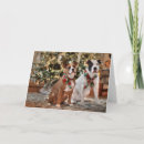 Search for rescue christmas cards Animal