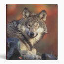 Search for wolf binders Wolves