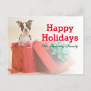 Search for surprise cards Puppy