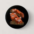 Search for zoo panda buttons Pandas