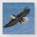 Recherche de aigle chauve art Animal