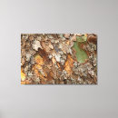 Search for tree bark canvas prints North america