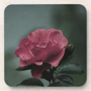 Search for shrub barware Flower