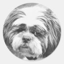 Recherche de shih tzu dog stickers Chien