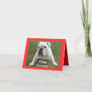 Recherche de noël anglais cartes postales Drôle