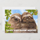 Search for sloth invitations Avanti press