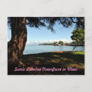 Search for scenic postcards Tropical