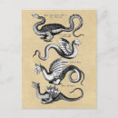 Search for lizard vertical postcards Fantasy