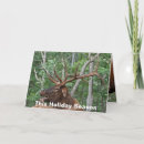 Search for elk christmas cards Hunting