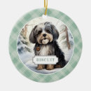 Search for havanese ornaments Cute