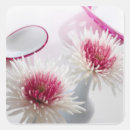 Search for beautiful sunflower stickers Beauty