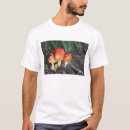 Search for amanita tshirts Colourful
