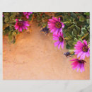 Search for flower flyers Garden