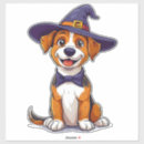 Recherche de pour chien autocollants De bouteille d'eau