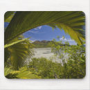 Recherche de les seychelles tapis souris Palmier