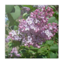 Search for lilac tiles Nature