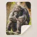 Search for gorilla blankets Animals