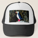 Search for puffin hats Maine