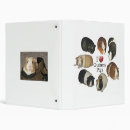 Search for guinea pigs binders Cavy