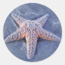 Search for beach starfish stickers Marine life