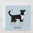 Search for colly cards Blue