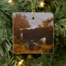 Search for coast ornaments Sunset
