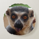 Search for lemur pillows Primate