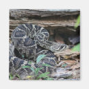 Search for large decorative magnets Souvenir