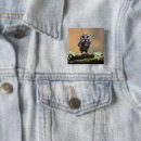 Search for animals square buttons Owl
