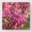 Search for crab apple Flowers