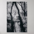 Recherche de yeux de tigre posters Tigres