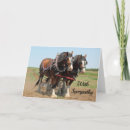 Recherche de élevage du cheval Agriculture
