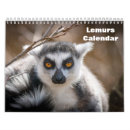 Search for african calendars Mammal