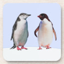 Search for birdie coasters Birds