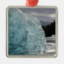 Search for in the wilderness ornaments Sunny