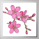 Recherche de flux posters Fleurs