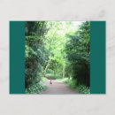 Search for pheasants postcards Nature