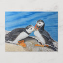Recherche de macareux cartes postales Oiseau