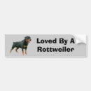 Search for rottweiler bumper stickers Puppy