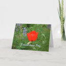 Search for remembrance day poppy postcards Flowers