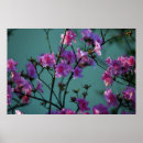 Recherche de signification fleurs posters Fleurs de printemps
