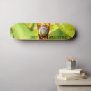 Recherche de calme skateboards Nature