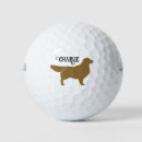 Search for golden retriever golf balls Dog