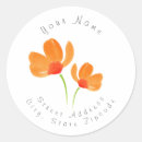Recherche de poppy flower Pavot