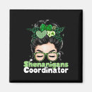 Search for coordinator magnets Shenanigans